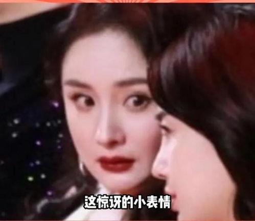 理性吃娱乐圈瓜